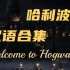 【哈利波特咒语合集】2021年度霍格沃茨魔法学校 《咒 语 考 试 复 习 备 考 笔 记》（哈利波特电影1-8部咒语合