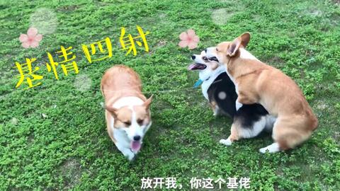 abe372b40ba976358d501e5dd3176ac86edab8d2.jpg@480w_270h_1c