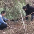 农村小伙挖竹笋有妙招，掌握这2种技巧，竹笋一挖一个准