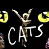 【百老汇音乐剧】《猫》4k绝品 完整中字