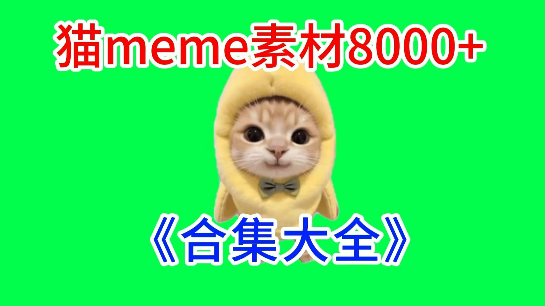 【可爱猫！】猫meme绿幕素材完整分享～，猫meme素材整合分享，合集分享！