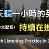 Feb.13 2025｜🎧保母级听力训练｜真实英文对话必修课｜高效学会关键句｜地道英语表达｜提升听力能力不再难（附中文配音