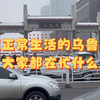 恢复正常生活的乌鲁木齐，大家都在忙什么