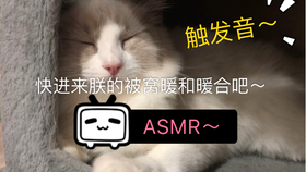 ac461991db953f5a57c18de85d59ad614aaffa8e.jpg@280w_158h_1c_100q.jpg