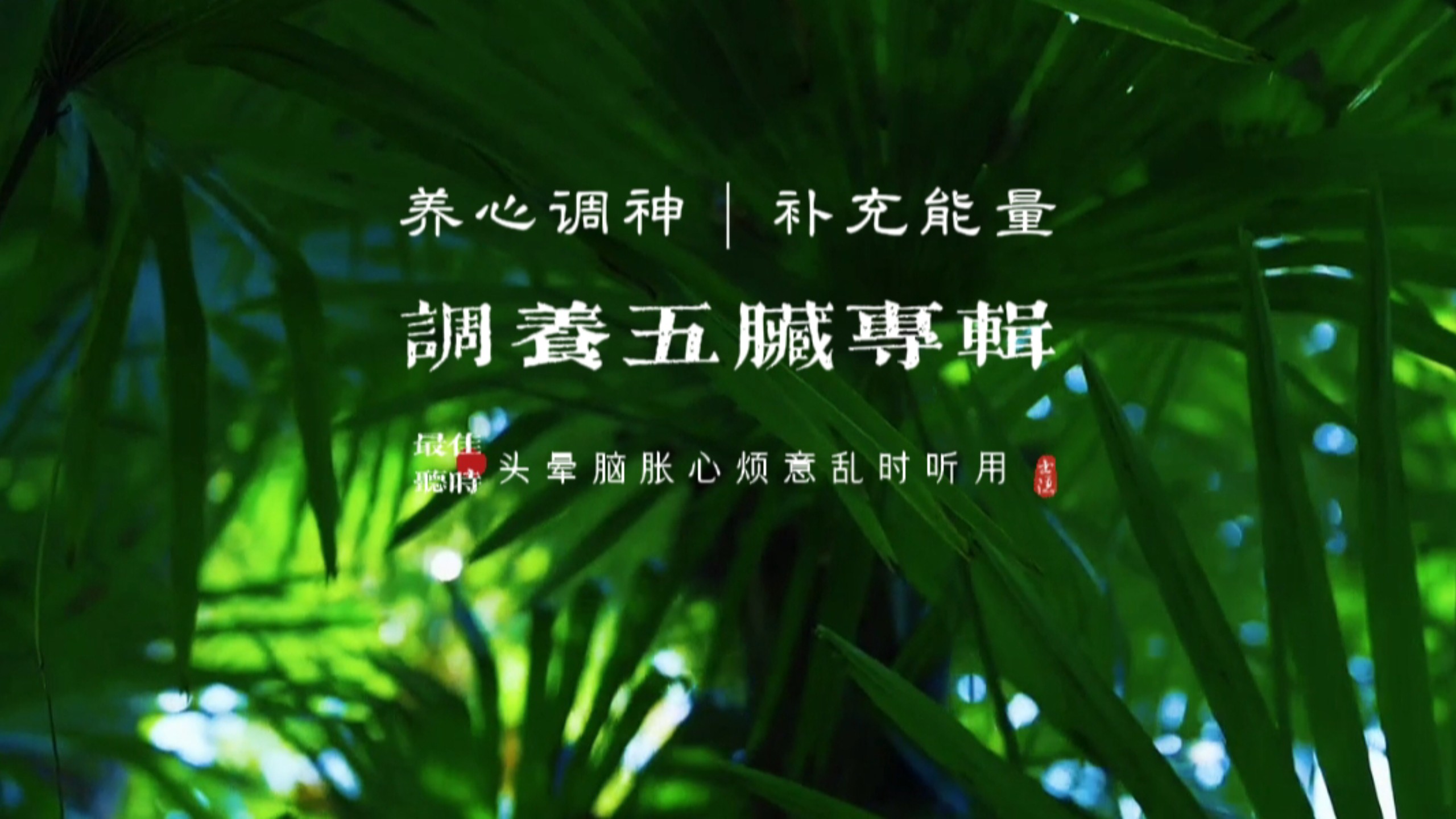 『五音疗疾』调养五脏，经典连放，平和气血，放松身心，养心怡情，缓解焦虑，释放压力，养元贮能，调畅气机，改善睡眠，工作学习压力大，身心疲惫，头晕脑胀可多听用。