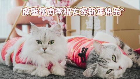 ac6a09a8c0e71ecfb694671c1d0207fb170aad36.jpg@480w_270h_1c
