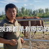 挨踢都是有原因的