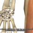 【3D演示】腕关节和手关节解剖——Wrist and Hand Joints