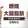 MIZI_14天燃烧大腿脂肪|15分钟瘦腿训练|无跳跃