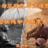 南京国殇 不敢遗忘——纪念张纯如与南京大屠杀