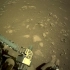 毅力号在3月3日拍摄的火星表面，有点牛的感觉