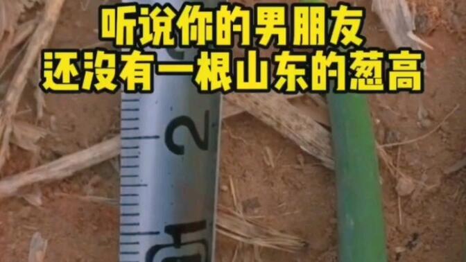 听说你的男朋友还没有山西的一根葱高!