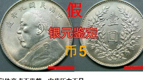怎么送钱币评级 acce313f1add43adbba20182d0ccc59c0642688b.jpg@480w_270h_1c