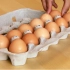 【趣味科普】你能把煮熟的鸡蛋变回生鸡蛋吗？@柚子木字幕组