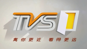 tvs2[tvs2南方卫视]