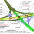 高速公路BIM技术应用与研究