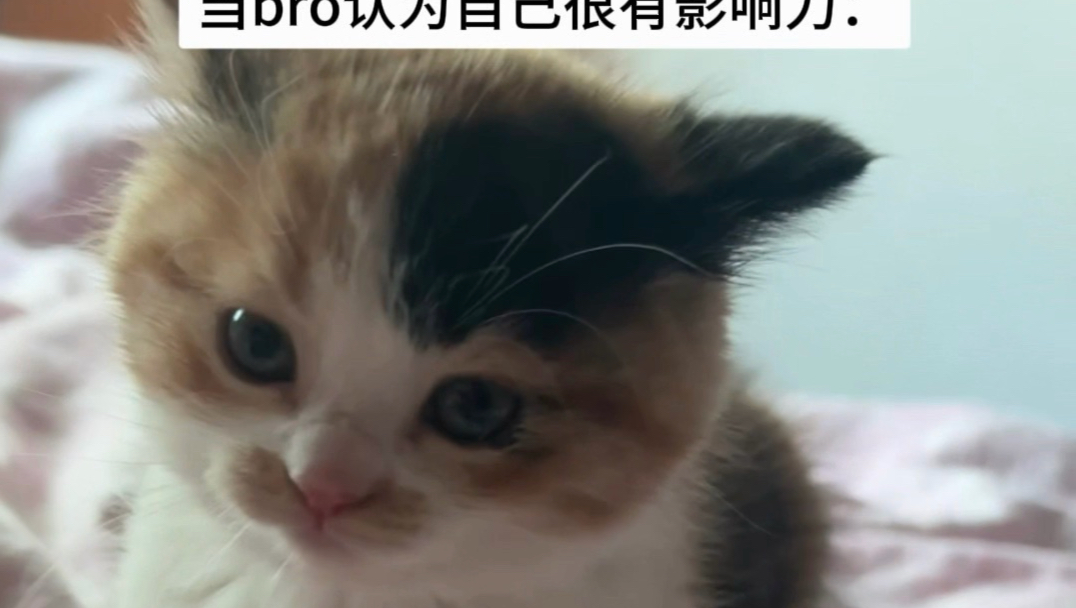 影响力这一块