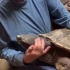 老爷爷花29年养大的乌龟，就喜欢被人抚摸和抱着...