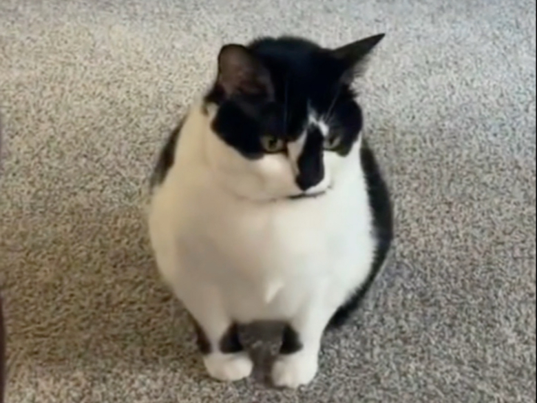 你最喜欢的博主更新了