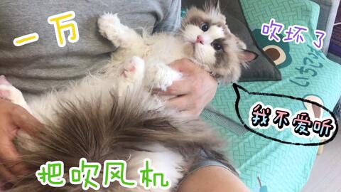 ad6ed9c1639691d8ba30ff19ccc409ff92e37ffa.jpg@480w_270h_1c