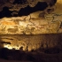 【中字】世界文化遗产：拉斯科洞窟