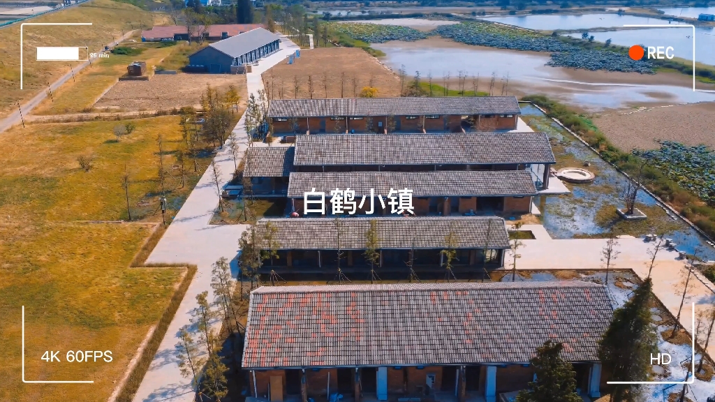 在南昌,有这样一处小镇能到白鹤,名曰白鹤小镇