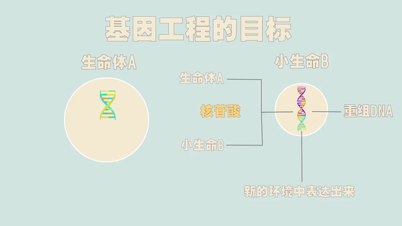 【生物】基因工程 概述
