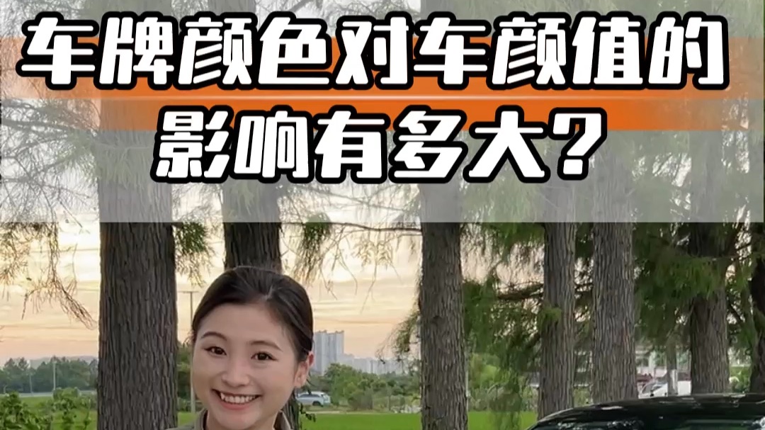 你们觉得哪个颜色的车牌好看？