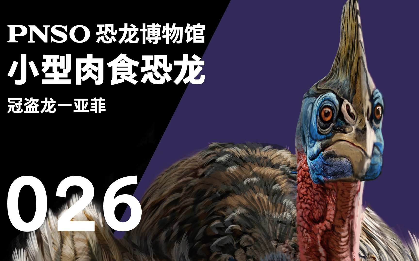 pnso恐龙博物馆三分钟带你认识一种恐龙冠盗龙亚菲