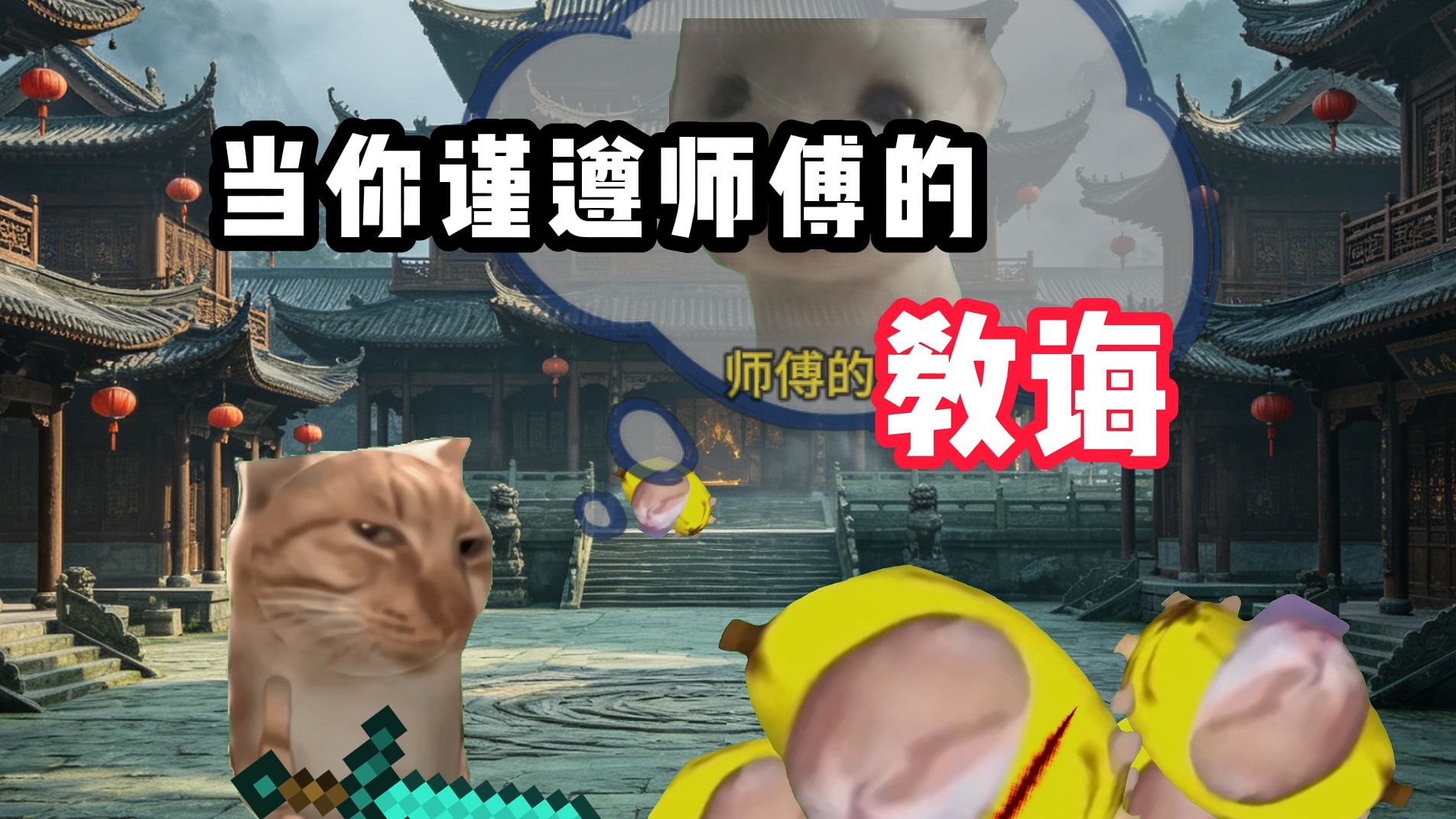 当你谨遵师傅的教诲
