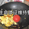 做饭糊弄学 十分钟晚餐 今天吃：番茄鸡蛋豆腐