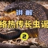 网络热传长虫谣言(2)用蛇毒毒毒蛇毒蛇会被蛇毒毒死吗?