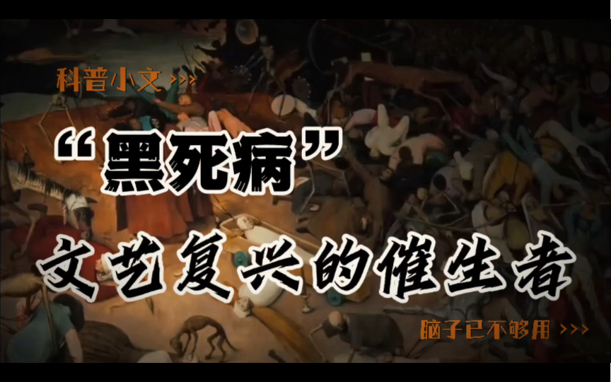 黑死病：欧洲历史的转折点与文艺复兴的催生者