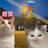 00后是怎样的一代人