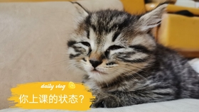 ae104e28ed47d5875fd876a0dbfa8d97ae04c789.jpg@280w_158h_1c_100q.jpg