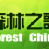 【CCTV纪录片】森林之歌 Forest China (720p高清)