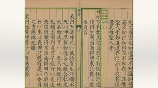 ae3ca0c0efe41c8ee1af762b3d641abe87d3ca99.jpg@310w_174h_1c_100q.jpg