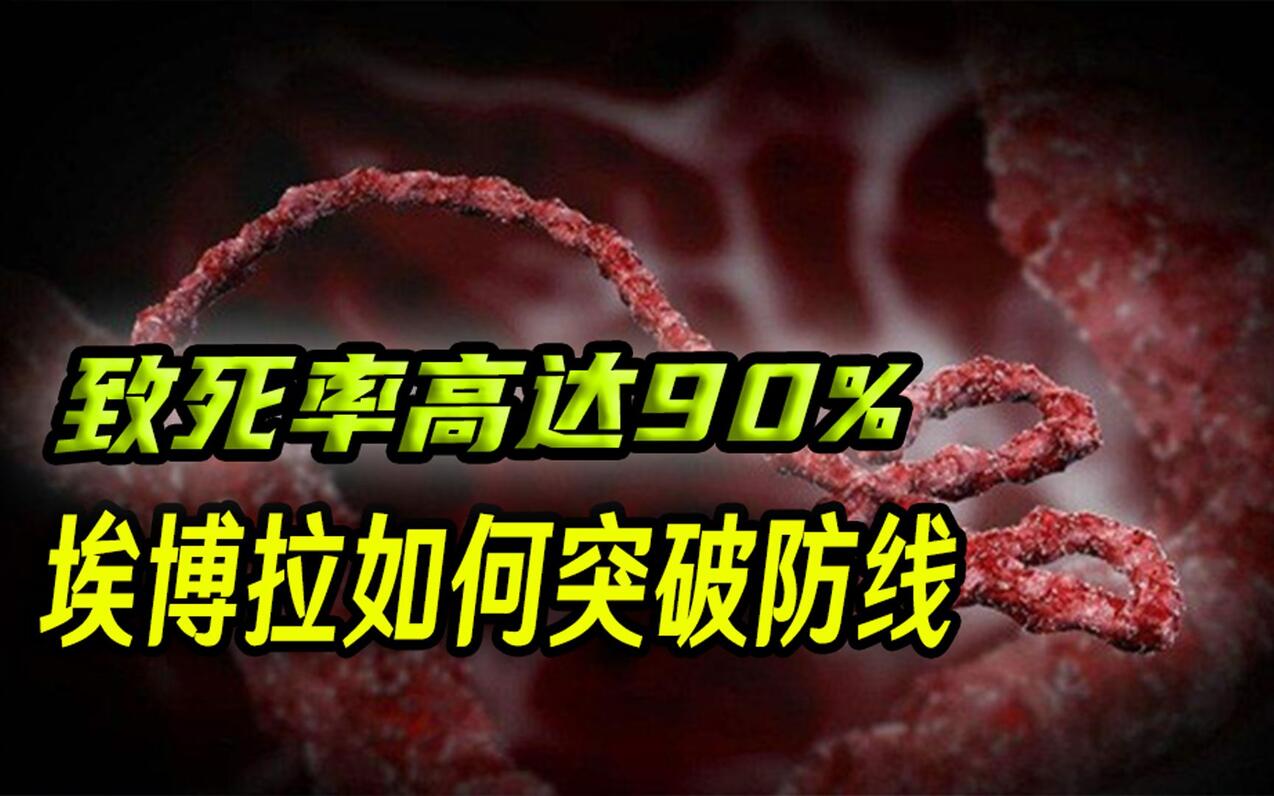 致死率高达90%，号称“死神”的埃博拉病毒，如何突破身体道道防线