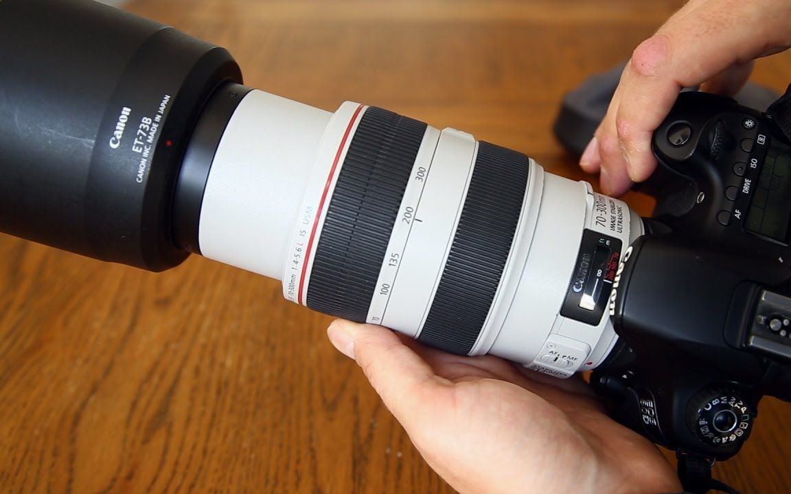 Canon 70-300mm f 4-5.6 IS USM 'L' Lens Review with Samples_哔哩哔 