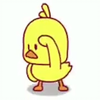 小黄鸭走起，很有魔性