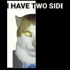 ??:I have two sides?