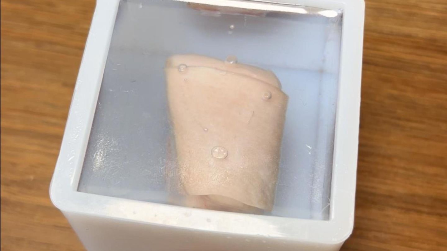 把五花肉用酒精消毒之后再用树脂密封，还会腐败吗？