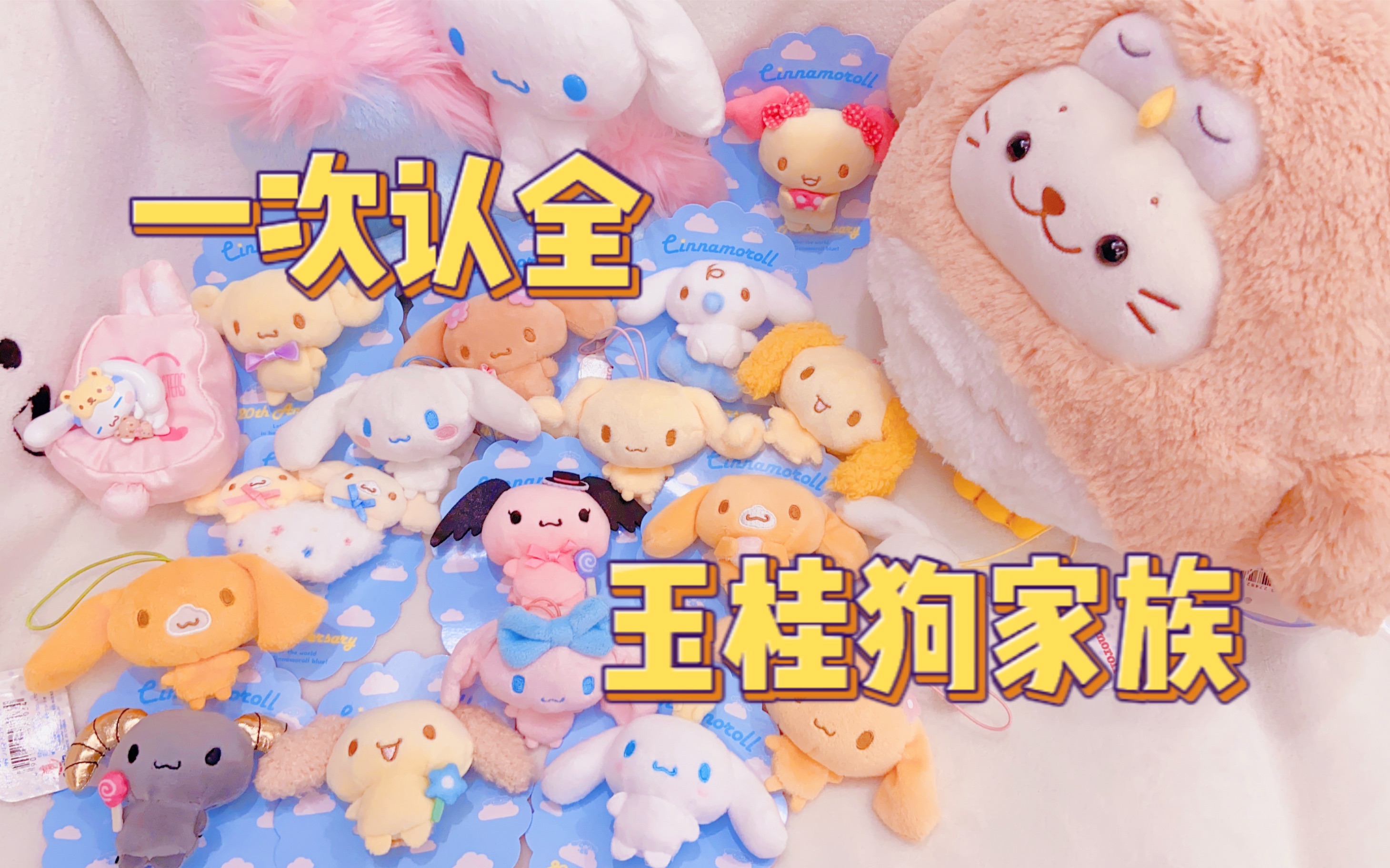 科普｜一分钟带你认全玉桂狗家族