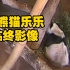 美国孟菲斯动物园的熊猫乐乐临终前的影像