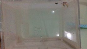 ae9c9b0a4116493940af93ee02b363a12cd3958c.jpg@280w_158h_1c_100q.jpg