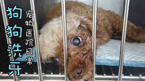 吃什么东西排便好 aea274d2e6c4b1a9977ef8f5dc4f27d8dac9b928.jpg@480w_270h_1c