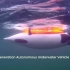 用于环境监测的下一代仿生自主水下航行器 (AUV)
