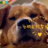 女朋友频繁发消息