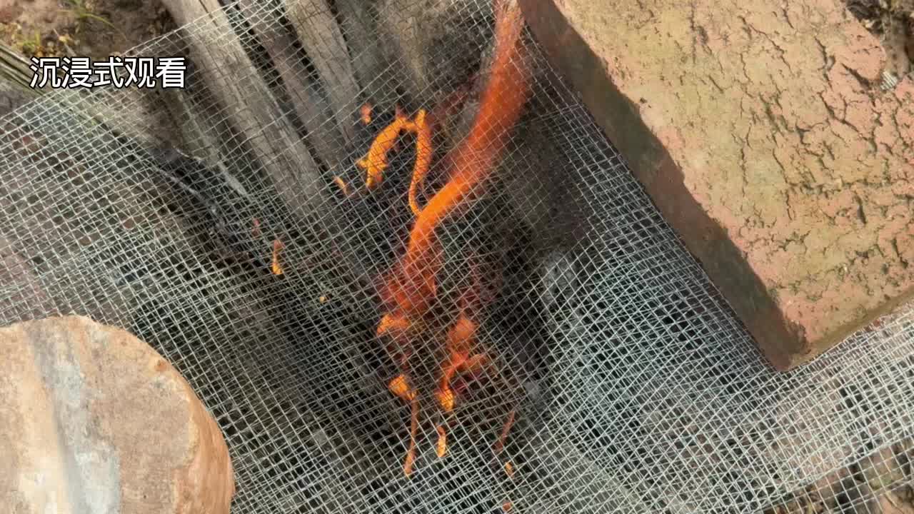 热锅上的蚂蚁