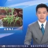 Science杂志在线发表华中农大与中国农大合作研究成果